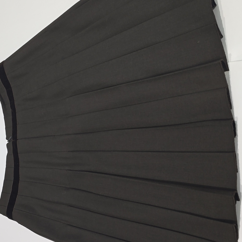 NEW ✅ THE LIMITED Brown Drop Pleated Skirt with Velvet Trim Lined SZ 8 ⭐ NEW